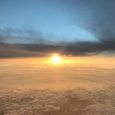 nazonomono11's profile picture. 無能 縮小→@de_factonazonaz