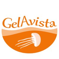 GelAvista(@GelAvista) 's Twitter Profile Photo