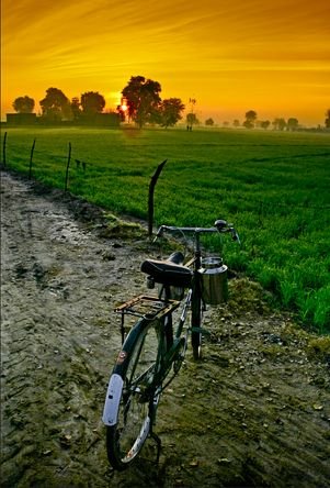 PAWAN28489083's profile picture. Single