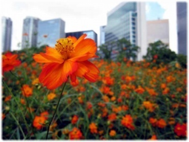 HPN0Tii9's profile picture. 今までなかったワクワクを♪ メーカー勤務