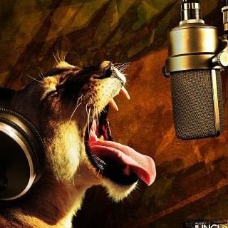 King Eさんのプロフィール画像