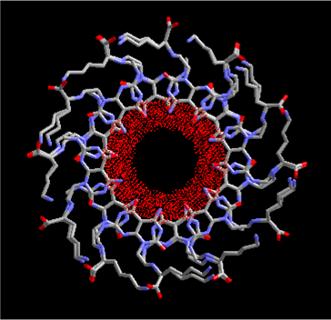 The National Institute for Nantechnology is Canada's leading R+D organization working @ the nano-scale.