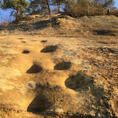 nickcomerky's profile picture. 