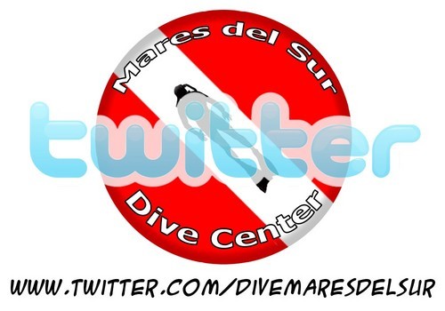 Unico Dive center PADI en Buzios
Te acercamos un mundo de experiencias, donde... El límite lo ponés vos