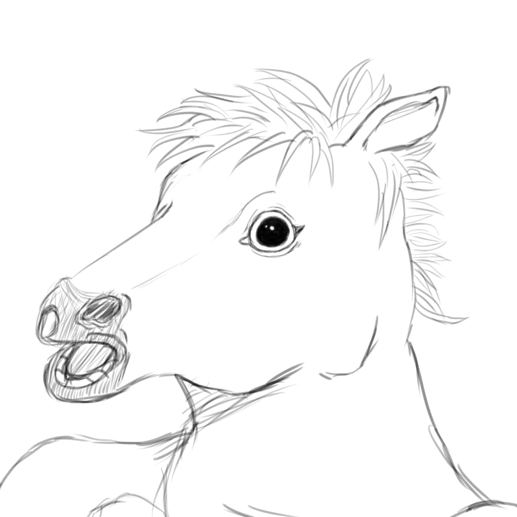 ふぬさんのプロフィール画像