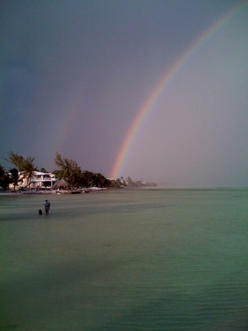 Sunnyn77degrees's profile picture. 