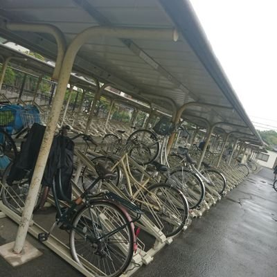 T1onq0's profile picture. 