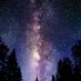Stars at Night (@starsatnight7) Twitter profile photo Stars at Night (@starsatnight7) Twitter profile photo