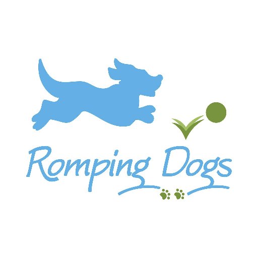 RompingDogs's profile picture. Certified Dog Training for dogs of all ages and behavior levels, from the rowdy puppy to the adult dog.