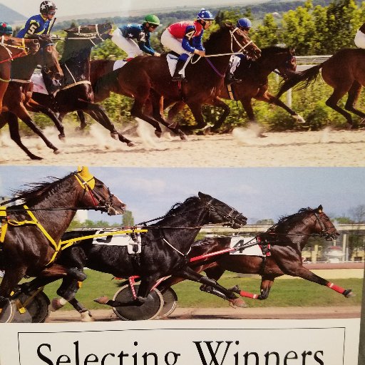 Horseplayer, Author;