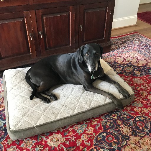 mikedent13's profile picture. Leading a great delivery team at @eGroup. Simplified by @Nutanix, connected by @Cisco, accelerated by @PureStorage. Nutanix NTC 17-25