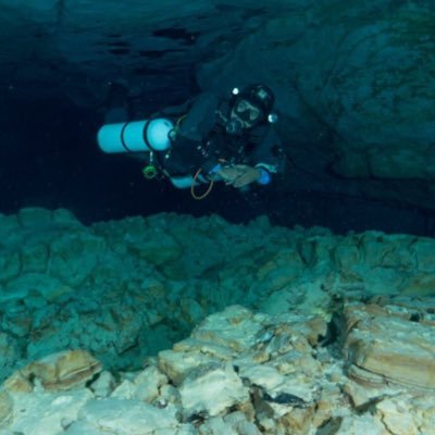 Marine Biologist researching the impacts of global change and cumulative pressures on physiology, habitats, and ecosystems