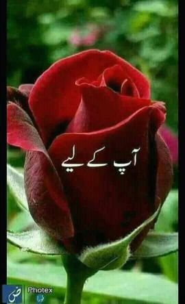Hatyar to sirf
शौक k liye rkhte h
खौफ k liye to RAJPOOT name
Hi काफी h ....
...
.
.CHAUDHAHARY BOY