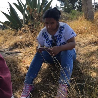 Hija del televisor y amante de la alta fructosa.