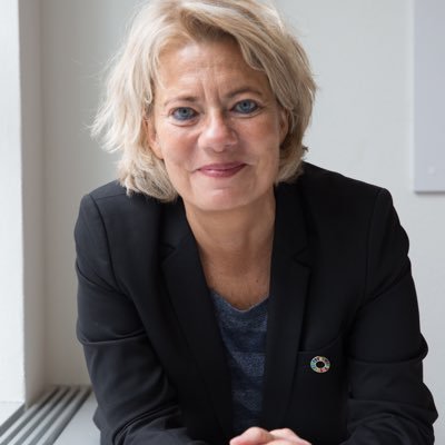 CEO Business Vordingborg. Bestyrelsesformand Kunstmuseum Brandts- og bestyrelsesmedlem flere steder.