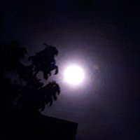 Lynx013-CryptoGamer (@lynxcryptogmr13) 's Twitter Profile