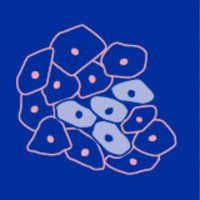 Cancers MDPI(@Cancers_MDPI) 's Twitter Profile Photo