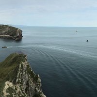 Dutch (@dutchvandriver) 's Twitter Profile