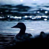 Lothar (@lothar77310562) 's Twitter Profile