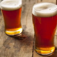 Mr Bees Brewery (@mrbeesbrewery) 's Twitter Profile