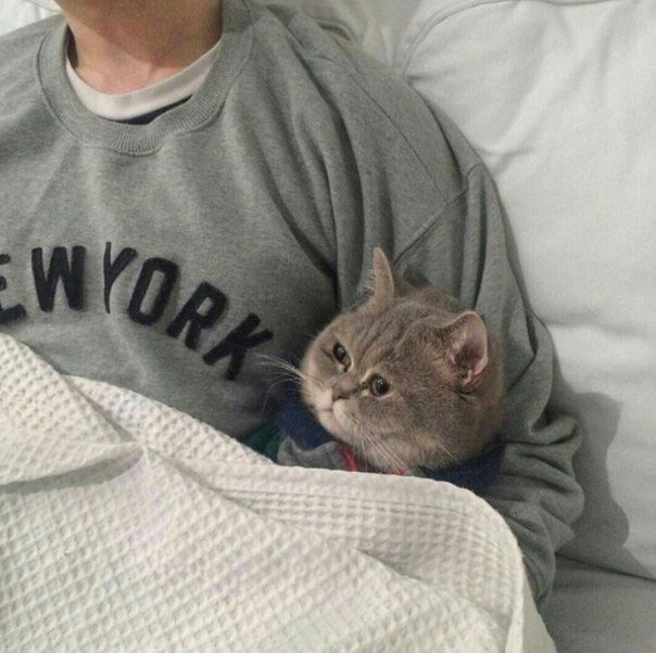 mikemuzquiz_88's profile picture. Startuper + #Engeneering follower. Engeneer at @Bosch, Tech Geek and #PC gamer. Optimistic person. Modern art fan.