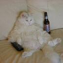 Donna Lush - @twittlmythumbs - Twitter