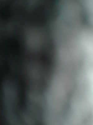 prickshoes's profile picture. 