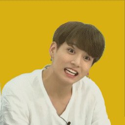 14    jungkook is my human sirius [photos cr. to the owner] @bts_twt