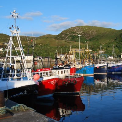 office_MNWFA's profile picture. Trade Association representing fishermen from all sectors of the industry. Mallaig based, Scotland wide representation.