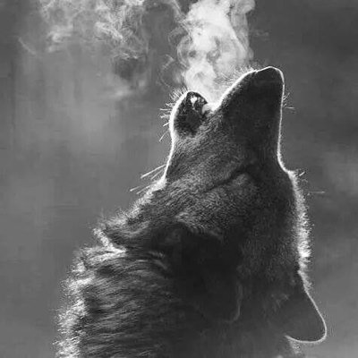 abascal_maria's profile picture. 