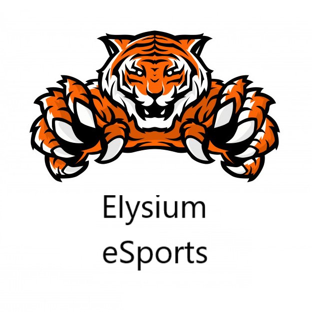 elysium_sports's profile picture. Equipo de competitivo de fortnite!! 
Plataforma PS4 🎮🎮