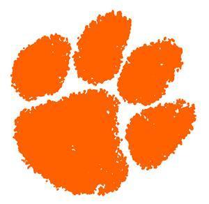 vyrost's profile picture. Clemson University Alumni and Ice Hockey Fan