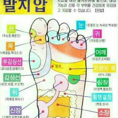 SeonjaeL's profile picture. 