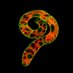 Petrášek Lab (@petraseklab) Twitter profile photo Petrášek Lab (@petraseklab) Twitter profile photo