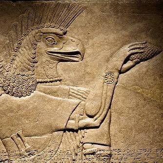 lightcaptureboa's profile picture. 