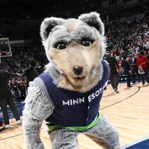 The actual, real, official, one and only, been around since 1989, MEGA-WOLF for the Minnesota Timberwolves...CRUNCH.