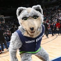 Wolves Crunch (@wolvescrunch) Twitter profile photo
