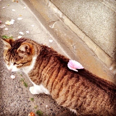 machinyanco's profile picture. 