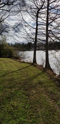 Roy27558662's profile picture. I am a Christian. Easy going, emotional, outdoors lover.
Zero tolerance of lazy people and criminals. I back all first responders, military, and veterans.