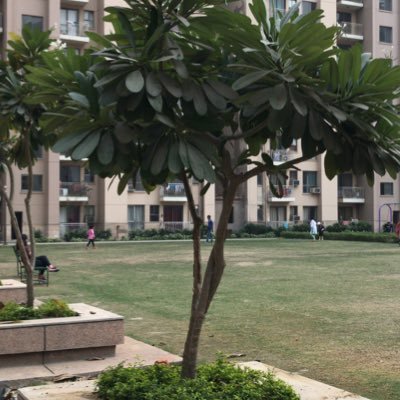 bepanaahTadap's profile picture. 