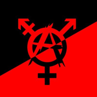 Transgirl, pansexual, demigirl, anarchist, totally cute. She/her