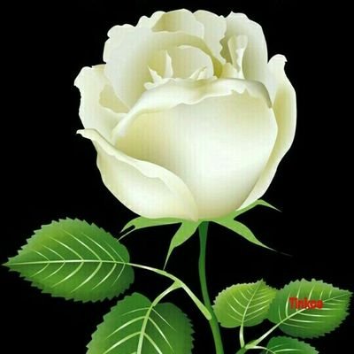 rekha12184's profile picture. I believe in https://t.co/hJapf2Ycpv life is a gifts of God for me!!