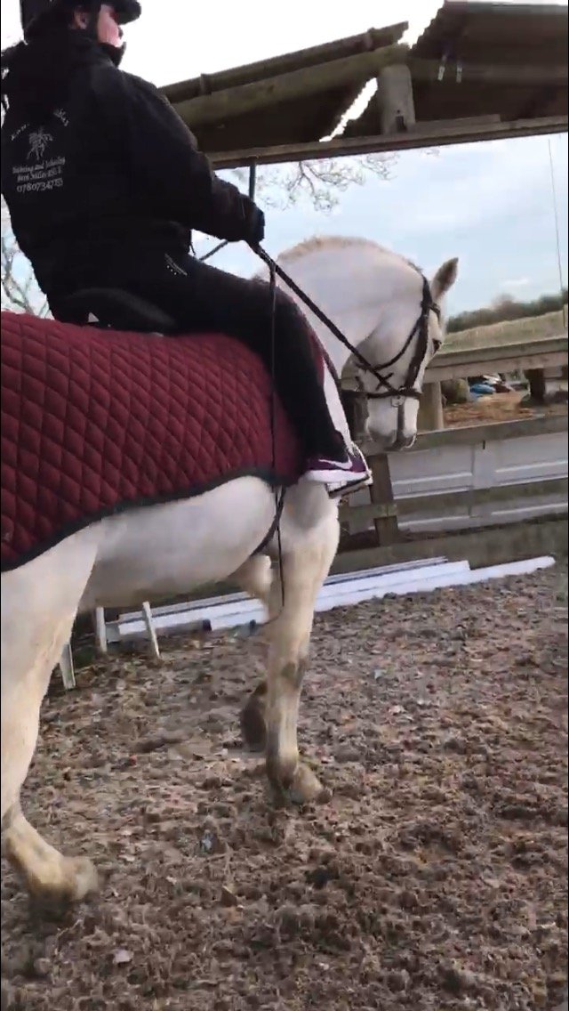 SallyanneHaigh's profile picture. Inspiring para dressage rider