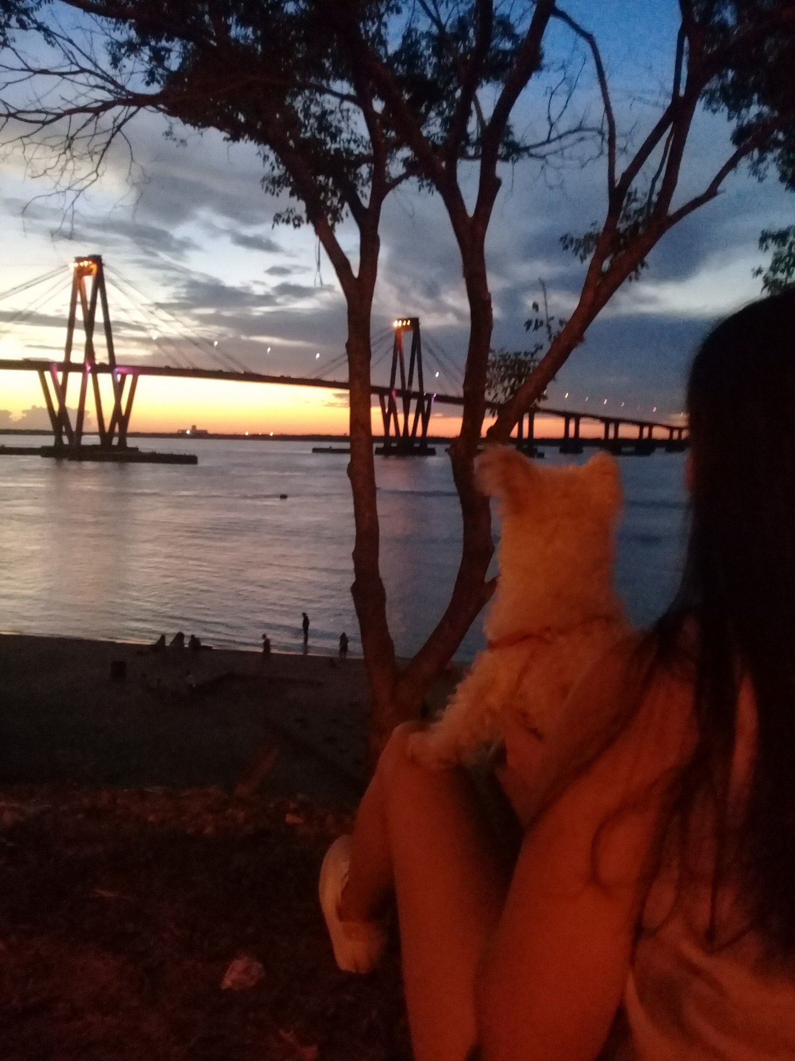 ❤🐾❤