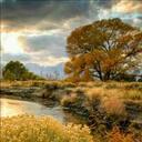 Neil wallis - @neilwallis123 - Twitter