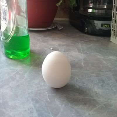 YeaHWildCatt's profile picture. I'm a Activision Ambassador.