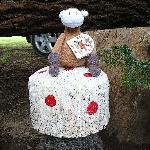 BEVoBerry1's profile picture. BEVoBerry was born at Frickley Park Horse Trials in July 2017. He enjoys various volunteer roles with British Eventing & will be sharing his experiences