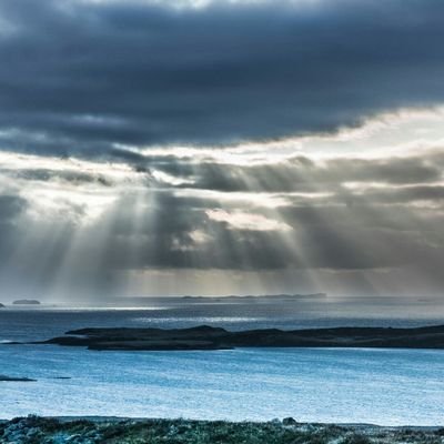 jf1325's profile picture. 