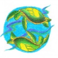 Whimsical Turtle Jewelry(@WhimsicalTurtle) 's Twitter Profile Photo