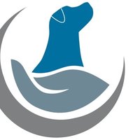 Justice Support Dogs International (JSDI) Lab (@justicedogslab) 's Twitter Profile